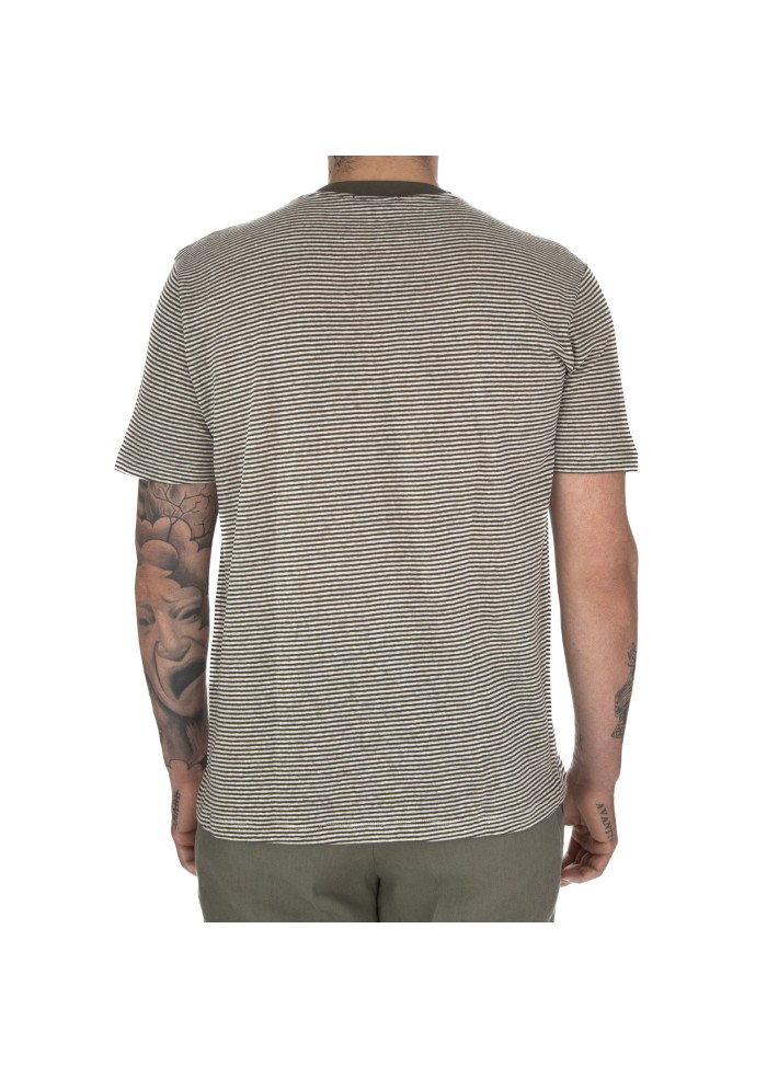 mens t shirt wool & co fine stripes green white