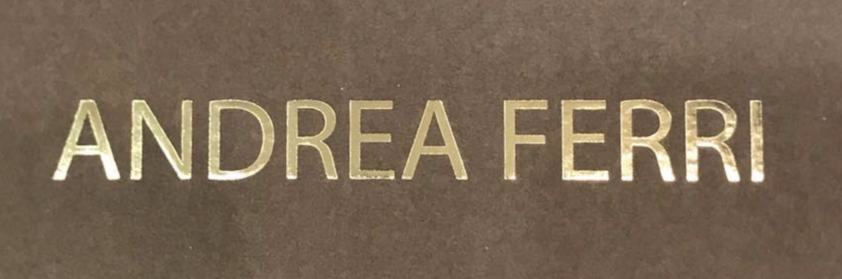 ANDREA FERRI